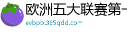 欧洲五大联赛第一个六冠王